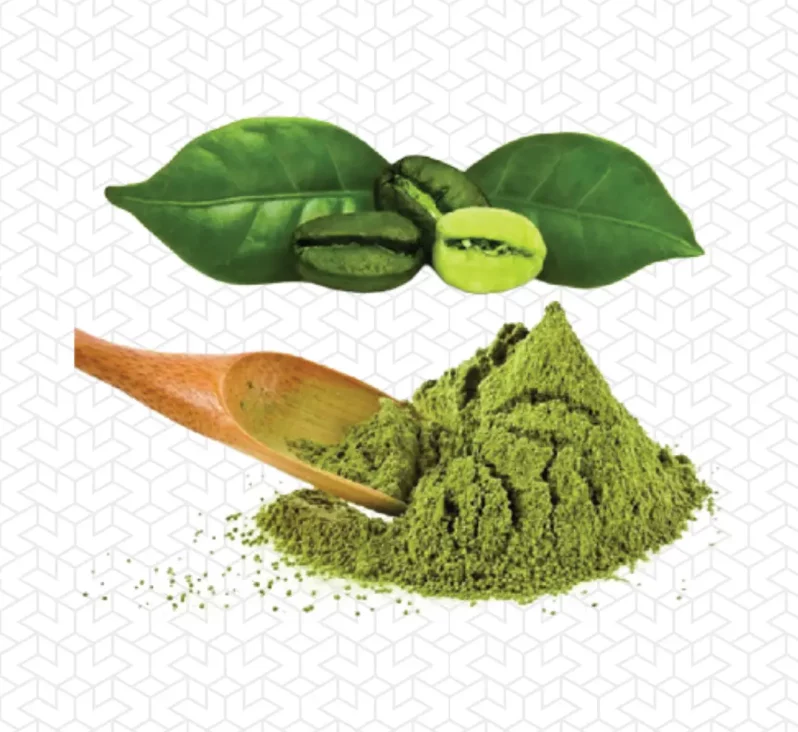 green coffee extract