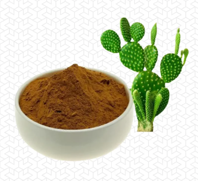 hoodia Extract Inchlos